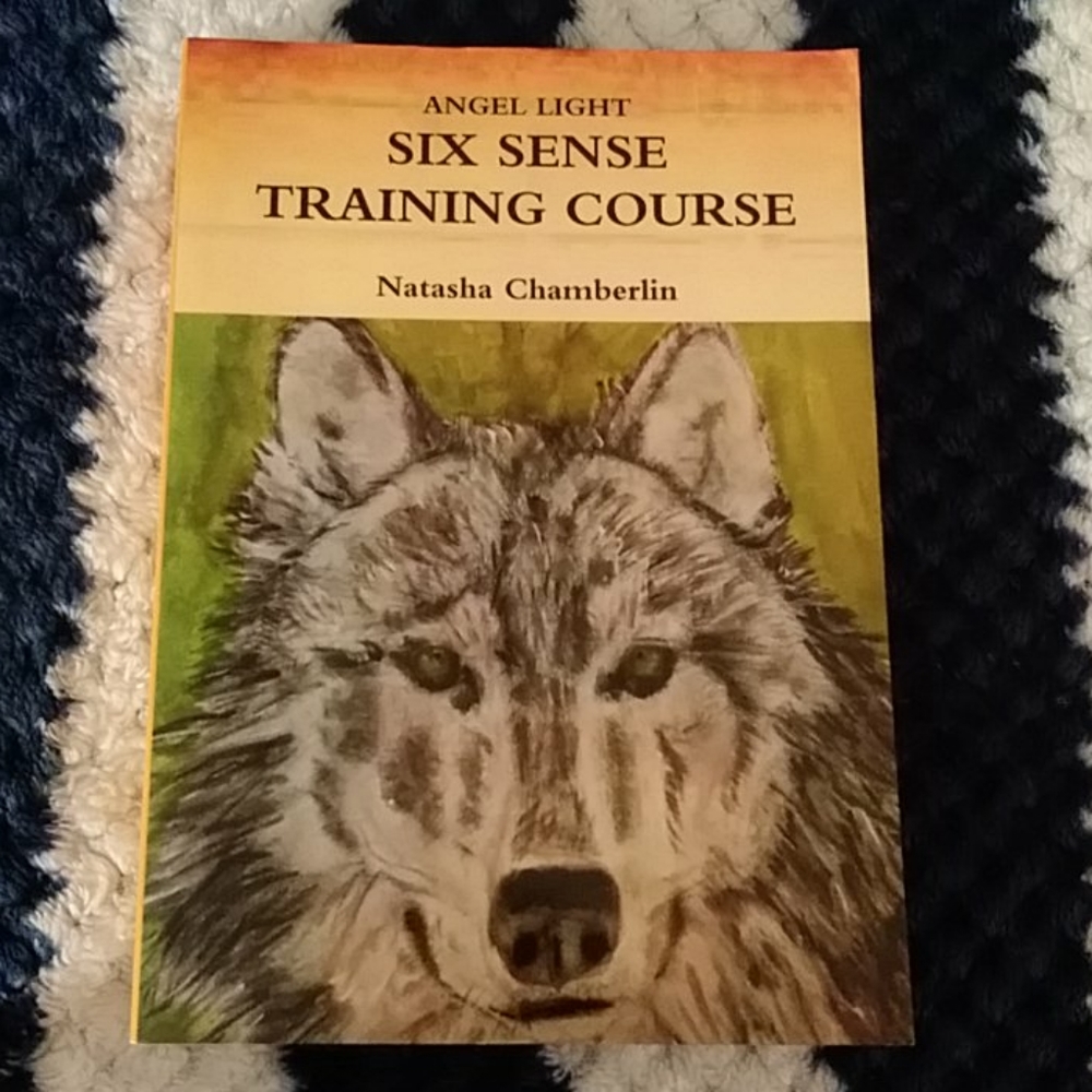 Six Sense Training Course book